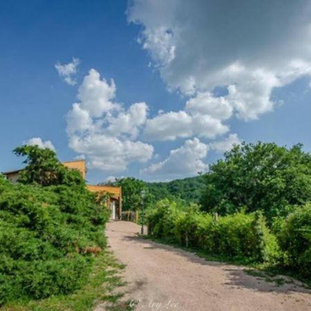 Gite Du Mont Plaisir Chouvigny Exterior foto